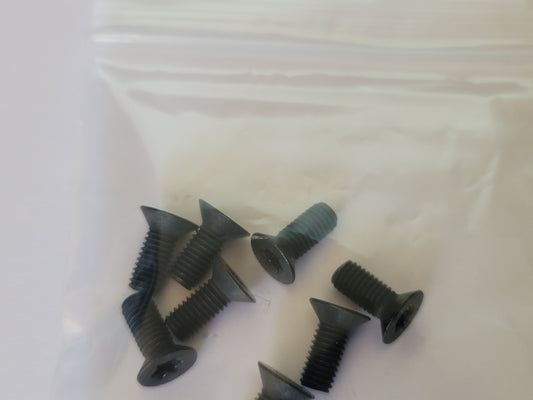 M5 x 12mm T25 Torx Countersunk  Black Stainless Steel Screws
